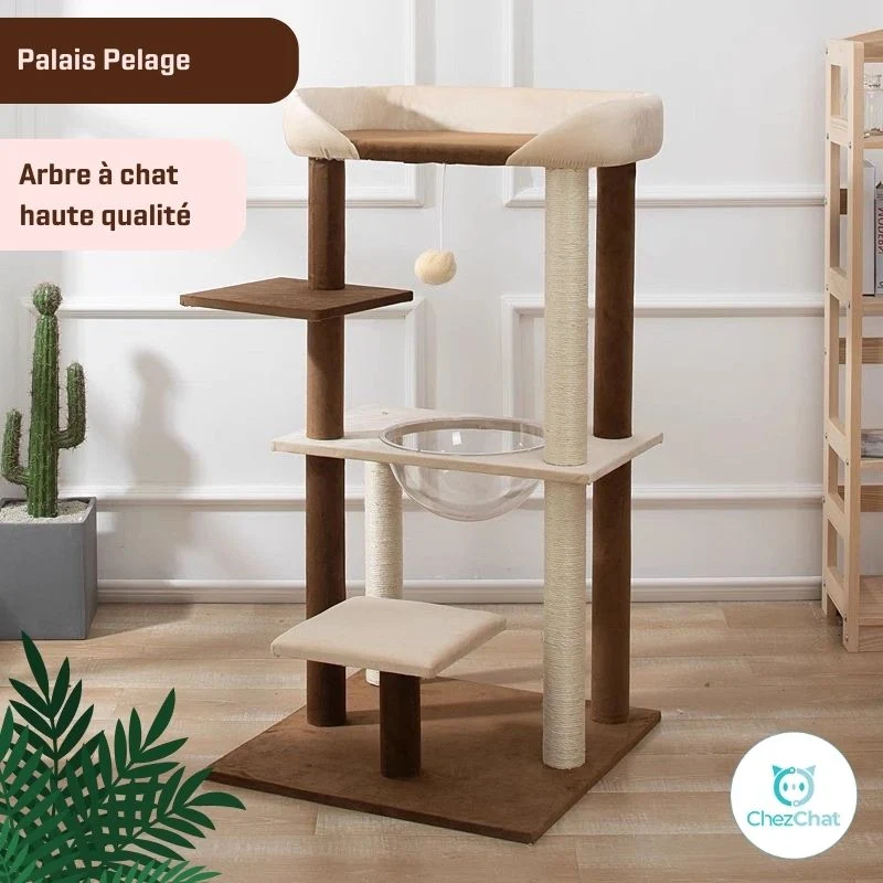Arbre à Chat - Palais Pelage