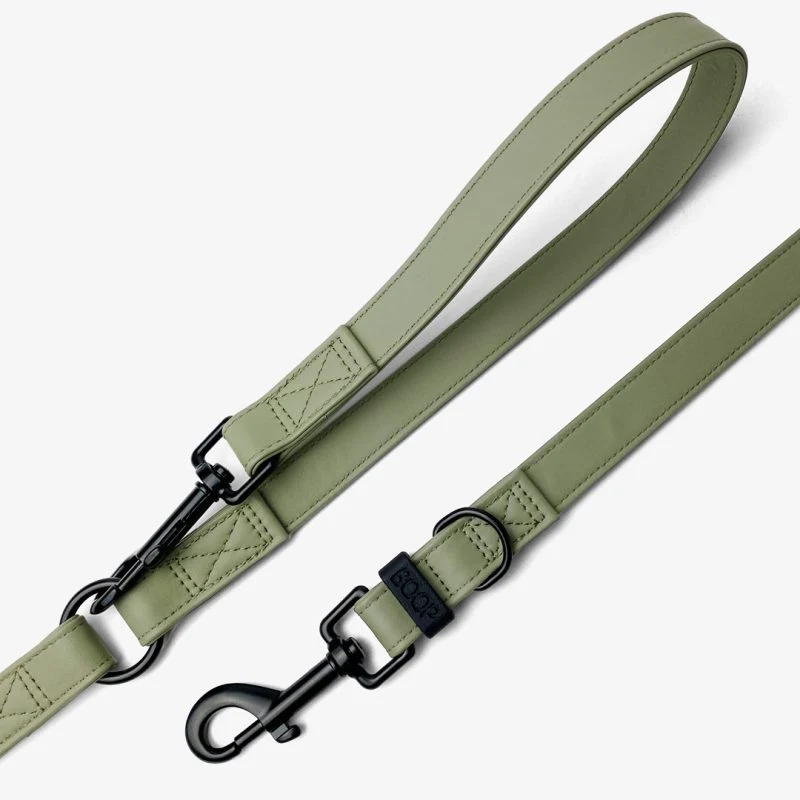 Laisse chien multiposition imperméable Boop the Snoop