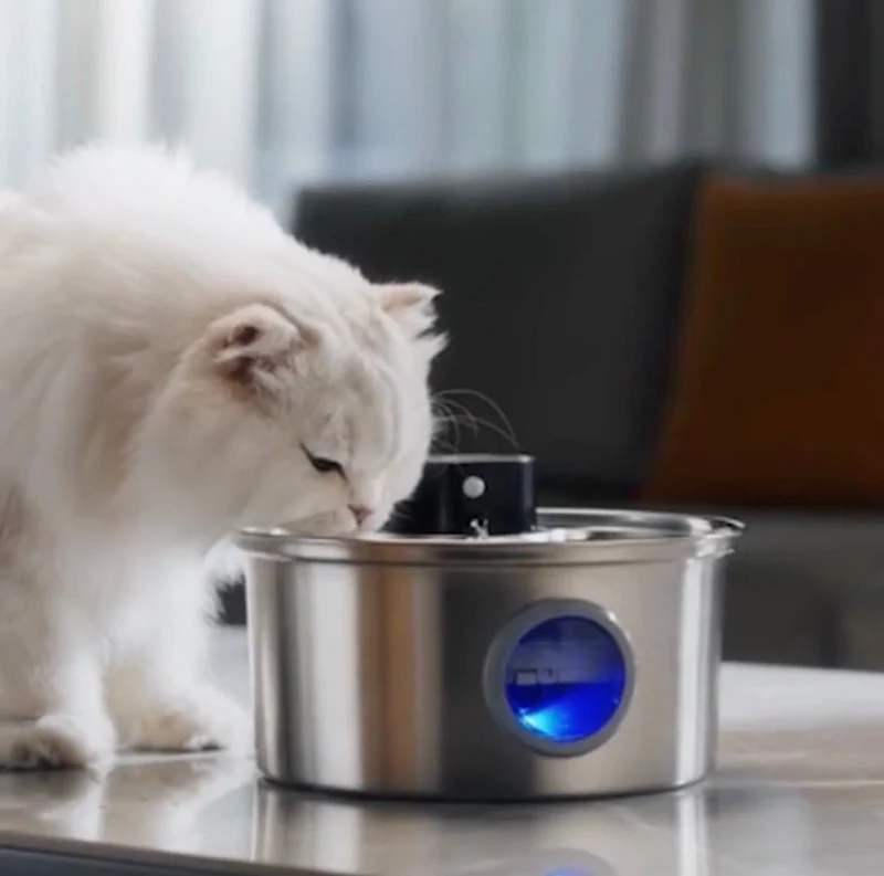Fontaine à eau chat | PurrCrystal™