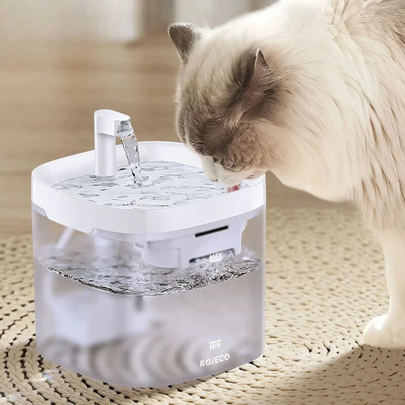 Fontaine à eau chat | PurrFresh™