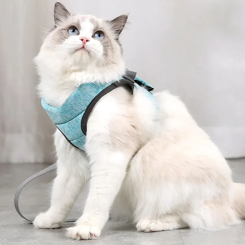 Harnais pour chat | ConfortPaw™