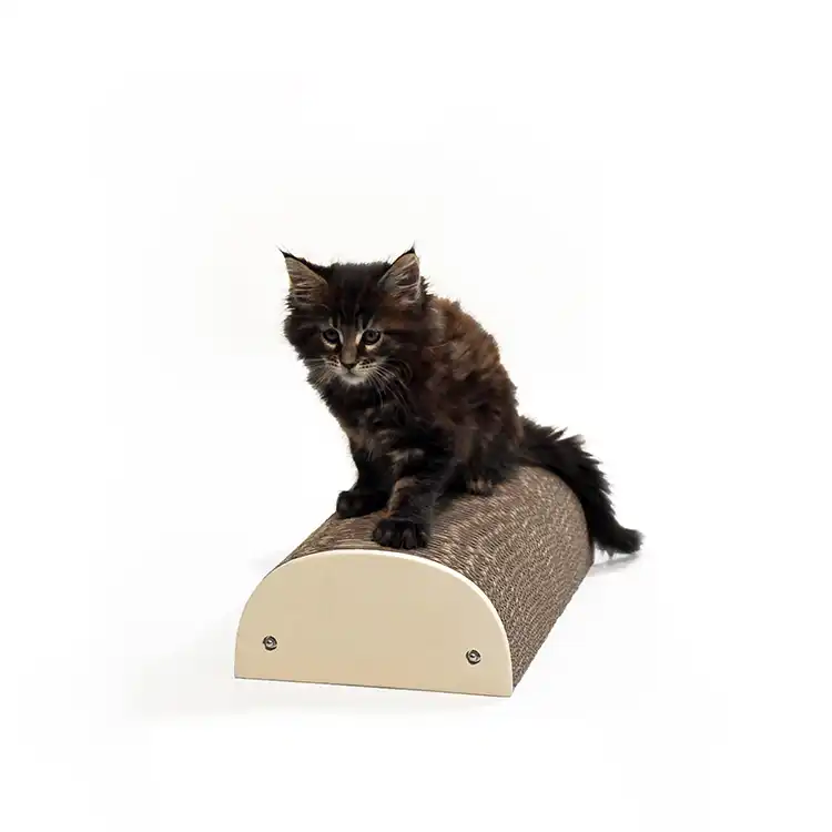 Griffoir demi-rond Homycat