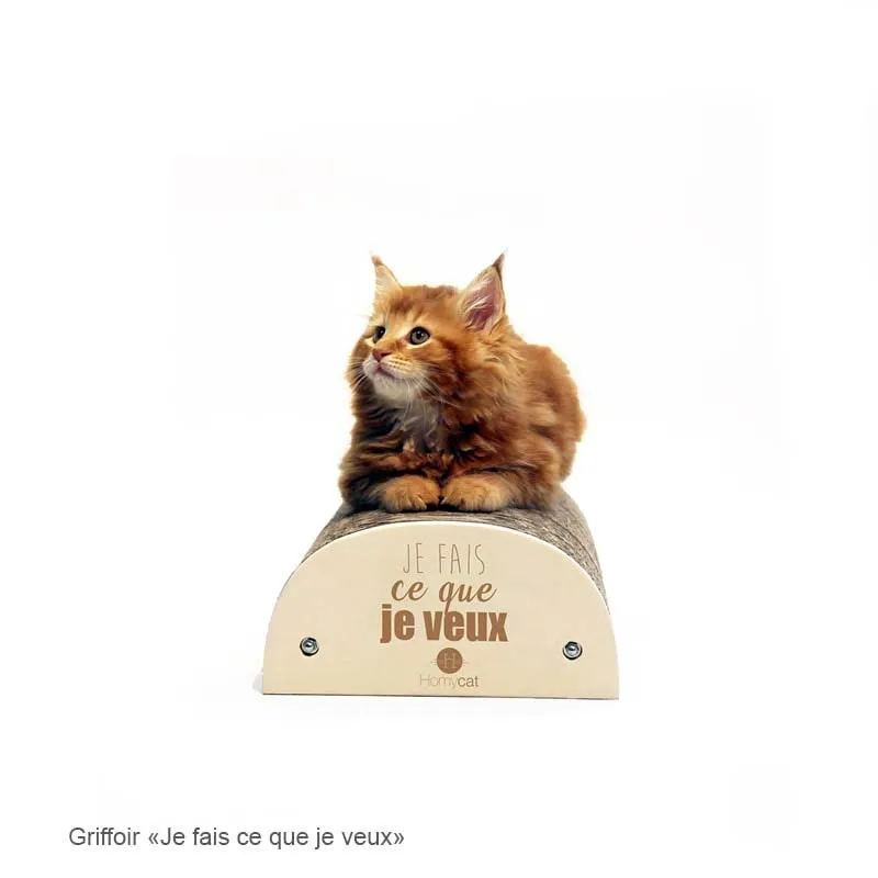 Griffoir humoristique - 7 citations au choix