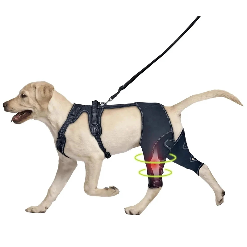 Genouillère chien avec support métal – attelle acl réglable