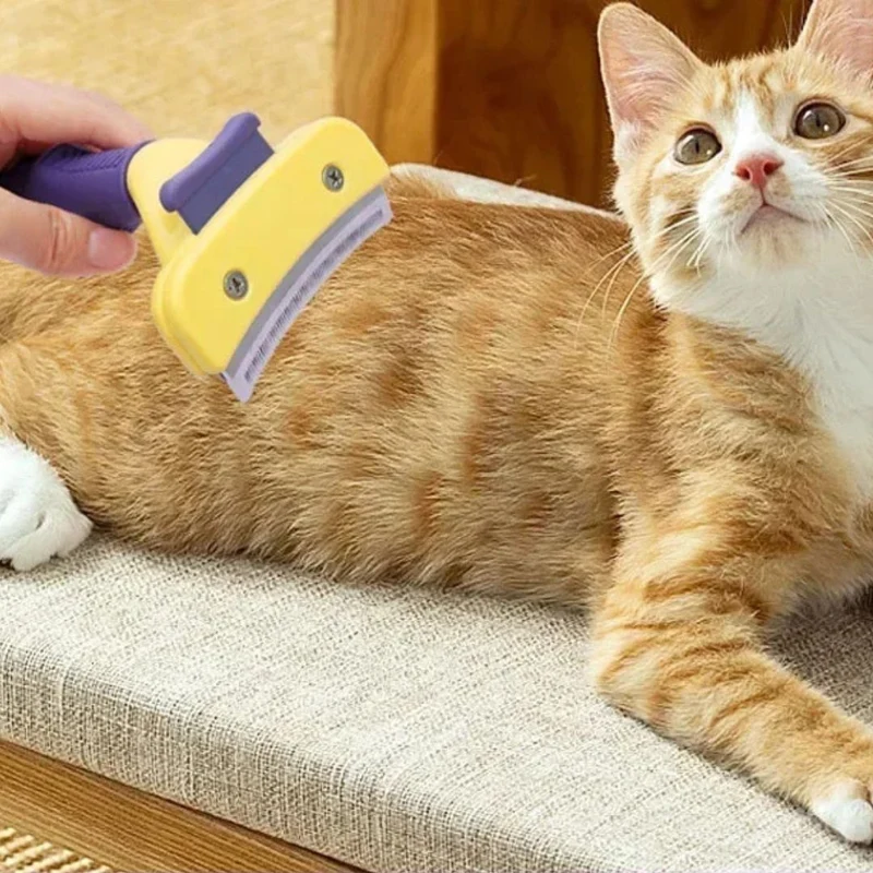 Brosse pour chat | PurrfectBrush™