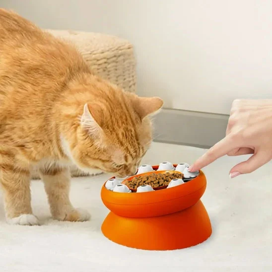 Gamelle anti glouton chat | SlowCroq™