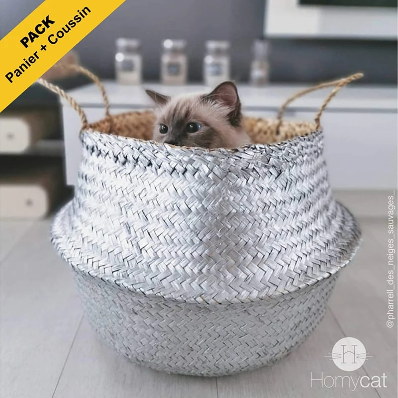 Pack : Panier Naturel argenté + Coussin
