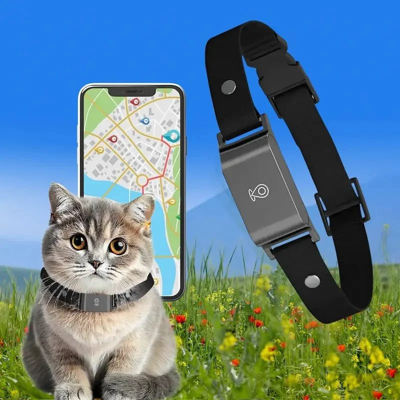 Collier GPS chat sans abonnement - Zéro frais | Trakino