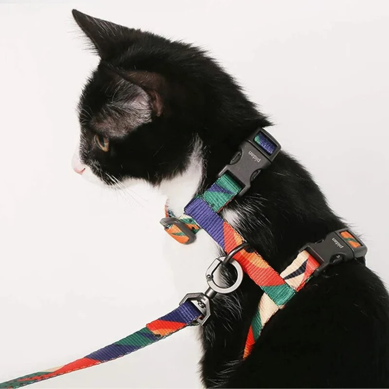 Harnais pour chat | PurrRainbow™