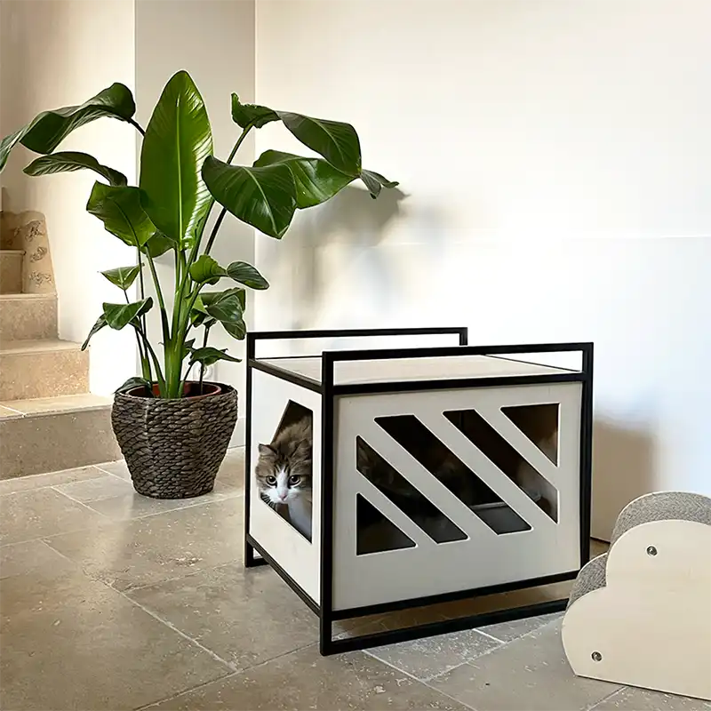 Maisons de toilette Design recommandée par les comportementalistes