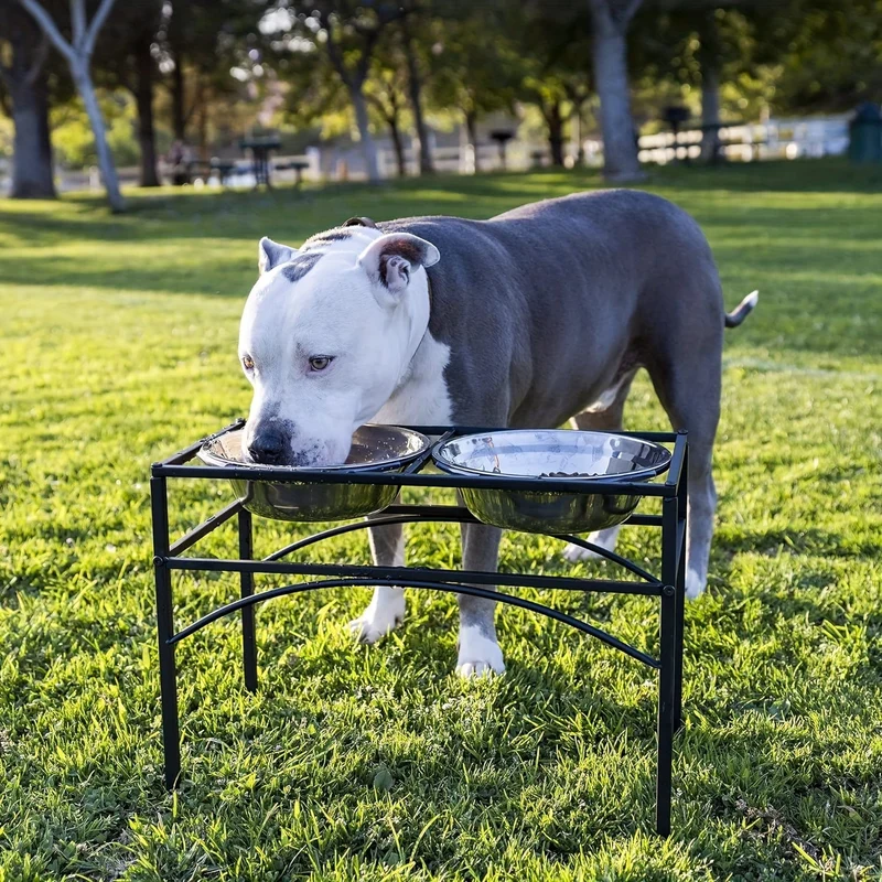 Station d’alimentation surélevée pour chien – double gamelle en inox