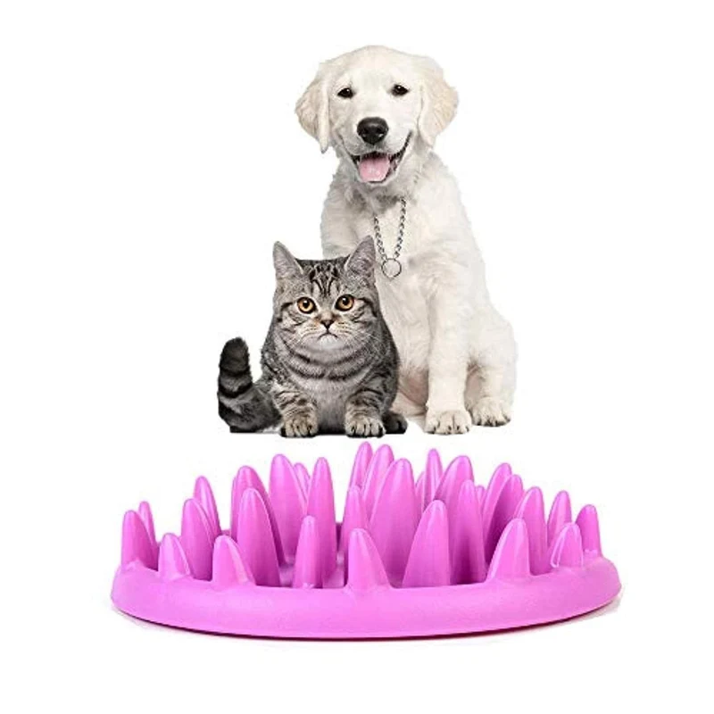 Gamelle d'alimentation lente pour petits chiens et chats