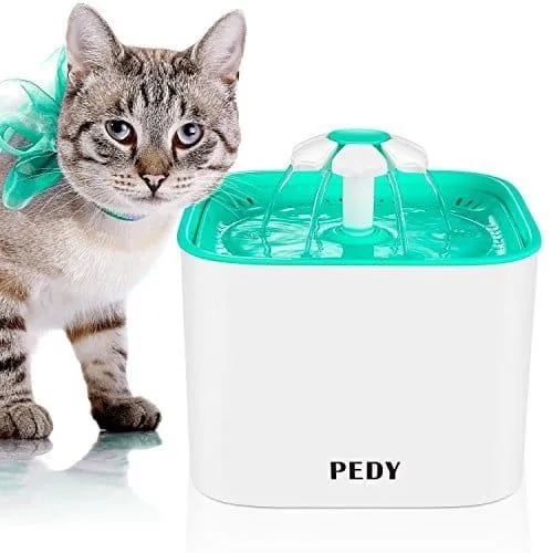 Distributeur automatique 2-en-1 pour animaux avec écran LCD et rappel vocal