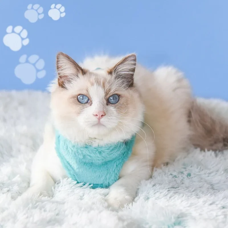 Harnais chat | ChicEase™