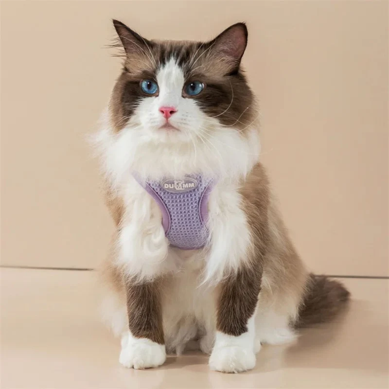 Harnais chat | PurrfectWalk™