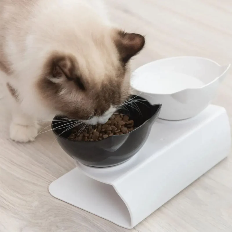 Gamelle chat | CATDesign™