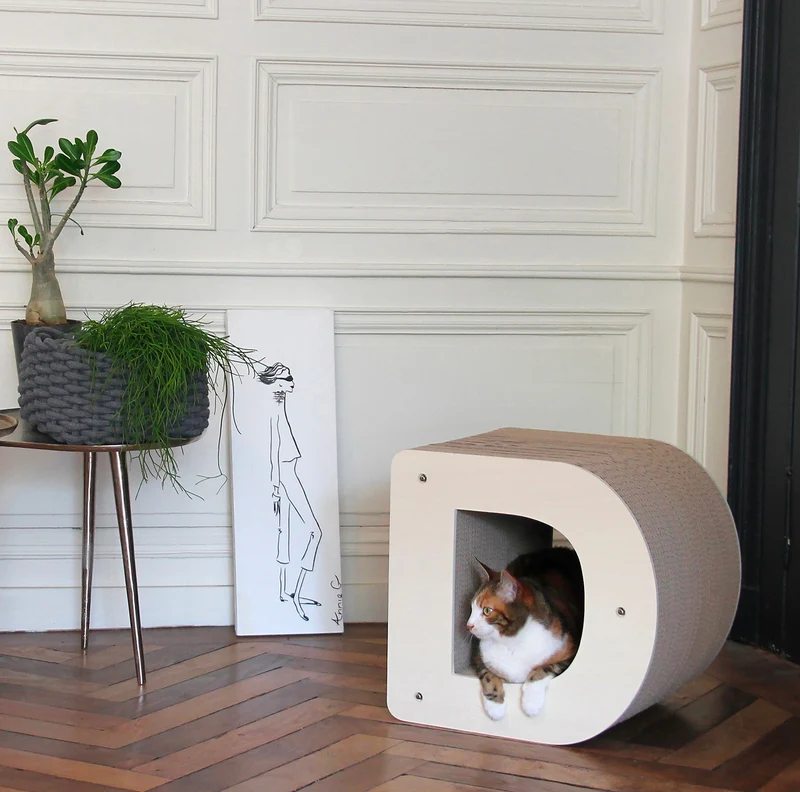 Griffoir Lettre D XL