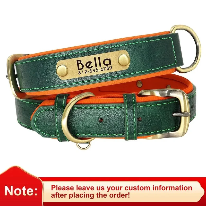 Collier en cuir personnalisé pour chien – avec plaque gravée nom