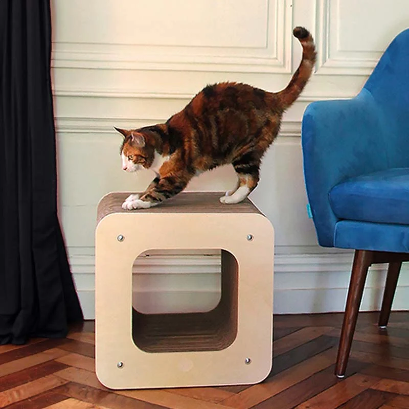Griffoir Design Cube XL