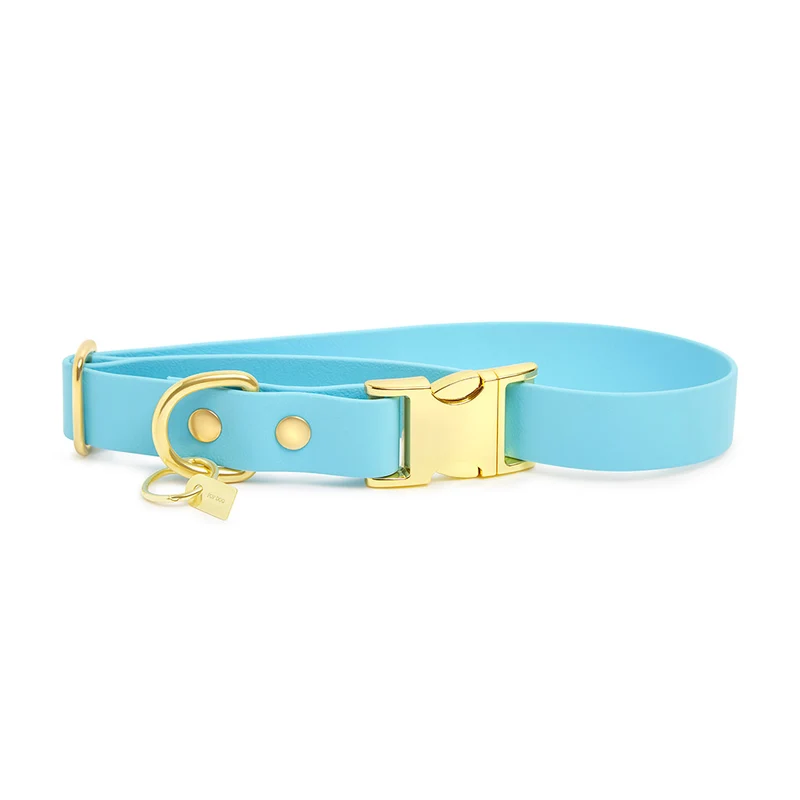 Pop Dog Collier Chien Bleu Dragueur