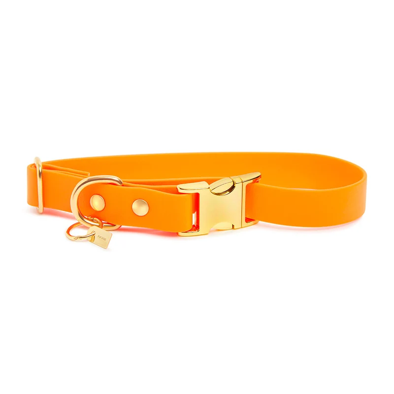 Pop Dog Collier Chien Pêche Pitchoune