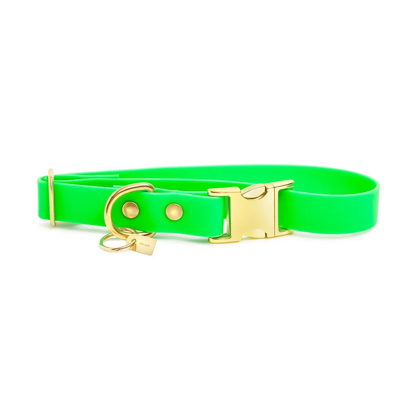 Pop Dog Collier Chien Vert Fluo Pirate