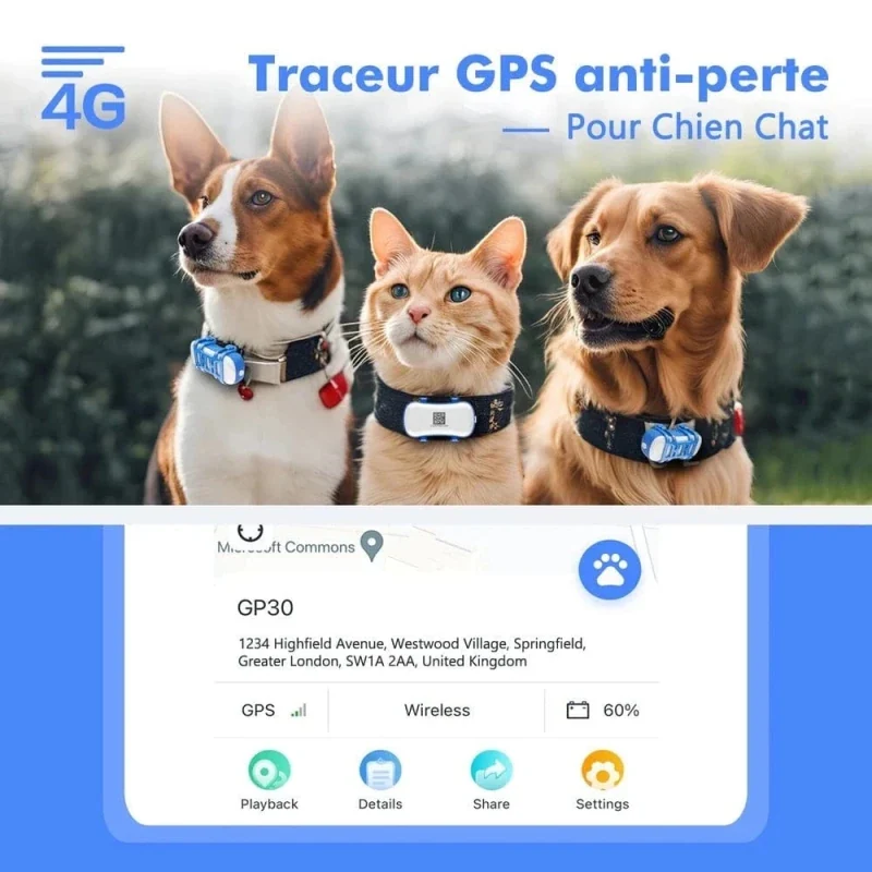 Collier GPS chat avec abonnement - Suivi live | PawLink