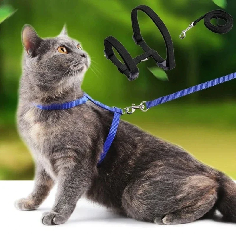 Harnais laisse chaton - Apprentissage sûr | FeliBaby