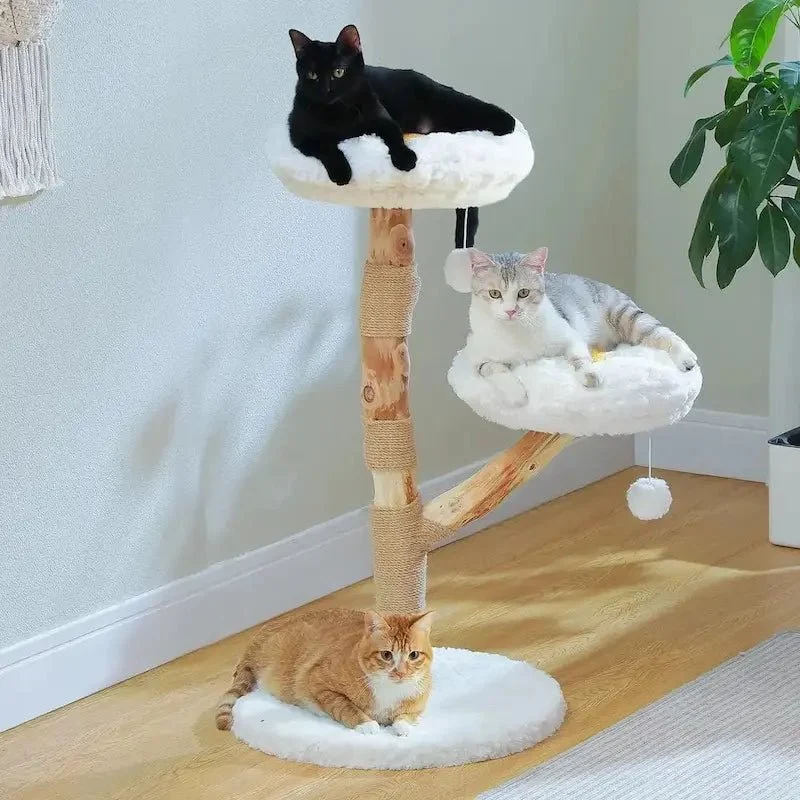 Arbre à chat nuage - Confort aérien | Miaosoft