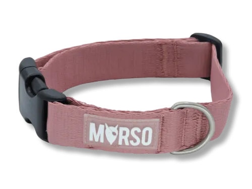 Collier chien recyclé MORSO® – Collection Solid Color