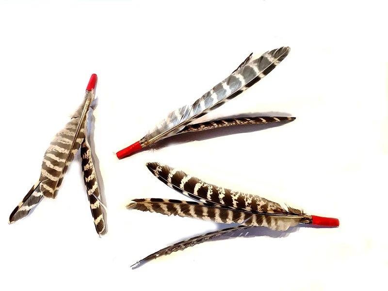 Jouet pour chat Plumes Purrize Purrs