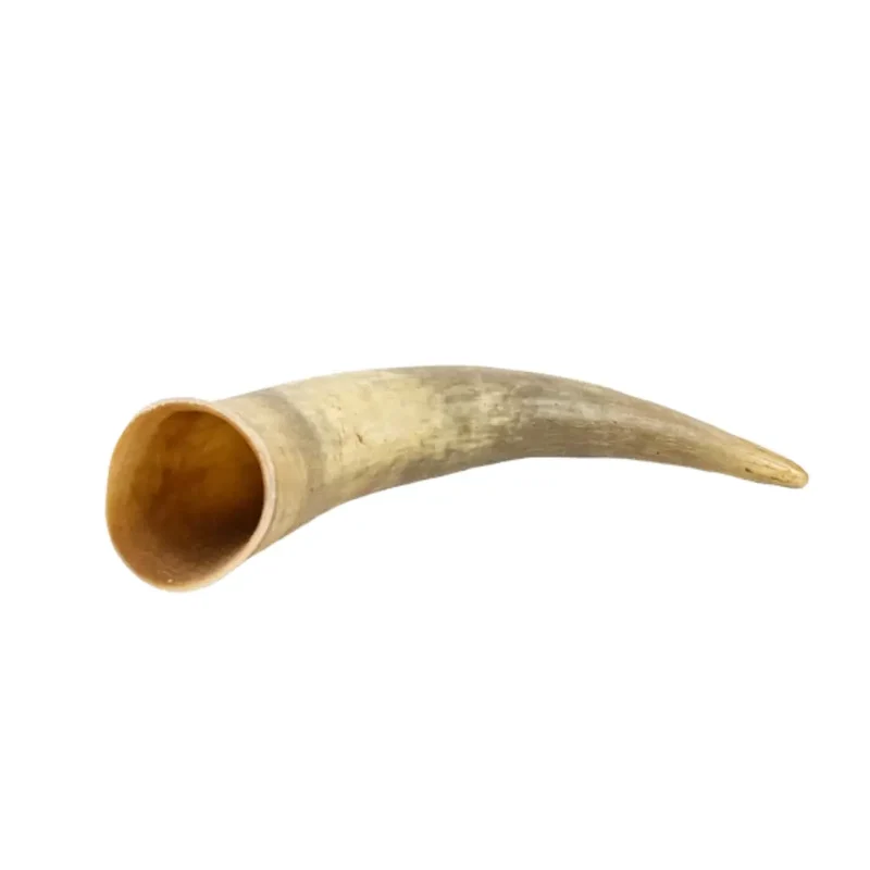 Corne de Vache pour Chien Cernunos