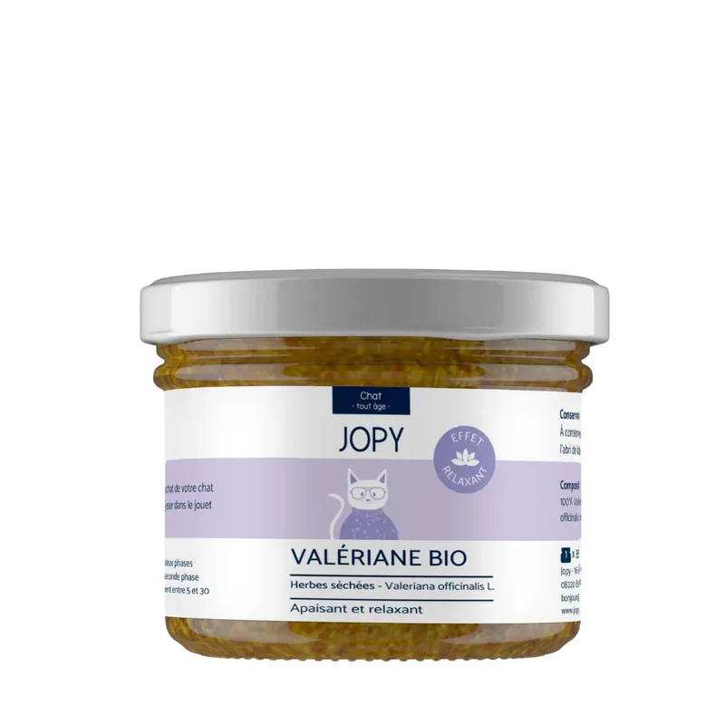 Valériane Séchée Jopy pour Chat