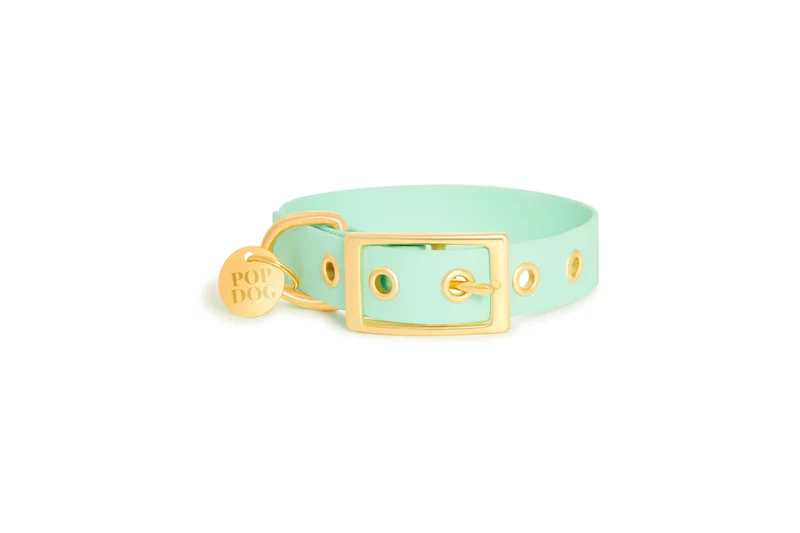 Pop Dog Collier œillets Chien Vert d'eau Swimmy