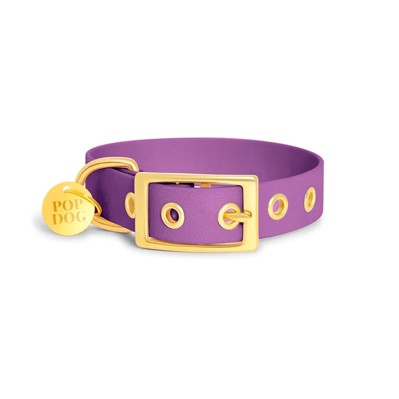 Pop Dog Collier œillets Chien Violet foncé Précieux