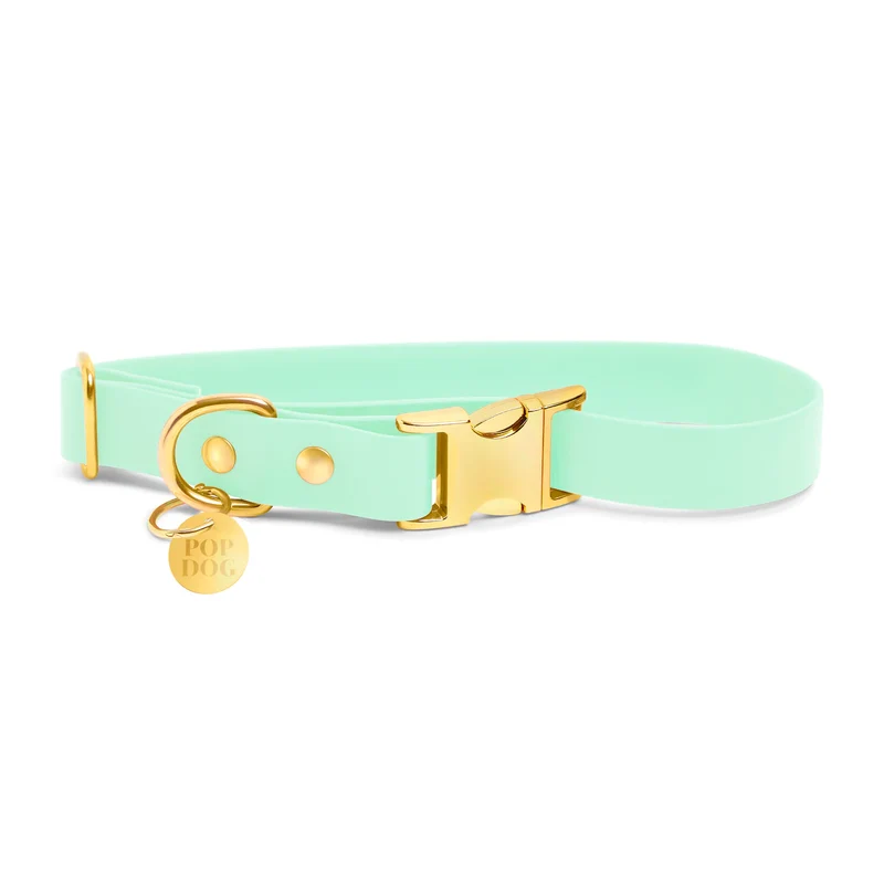 Pop Dog Collier Chien Vert d'eau Swimmy