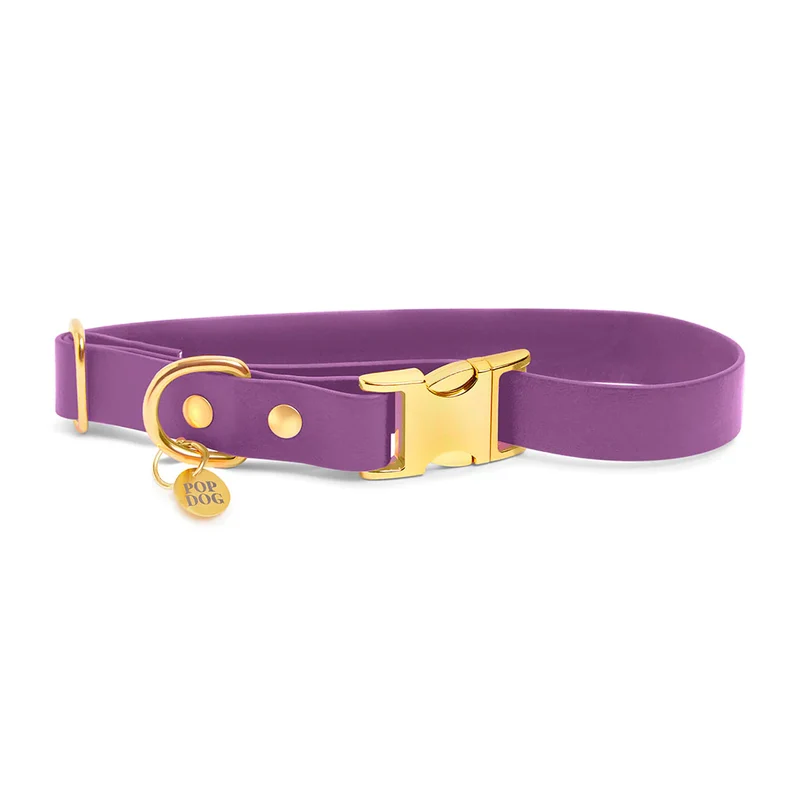 Pop Dog Collier Chien Violet foncé Précieux