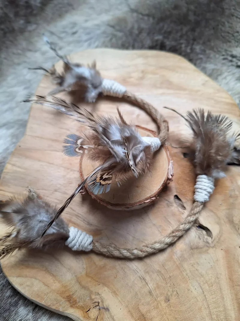 Jouet pour chat Snake O Plumes – La chasse à la maison