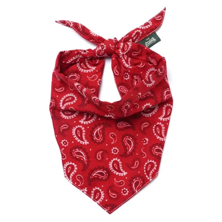 Bandana Pour Chien Dallas – Motif Paisley Rouge Classique