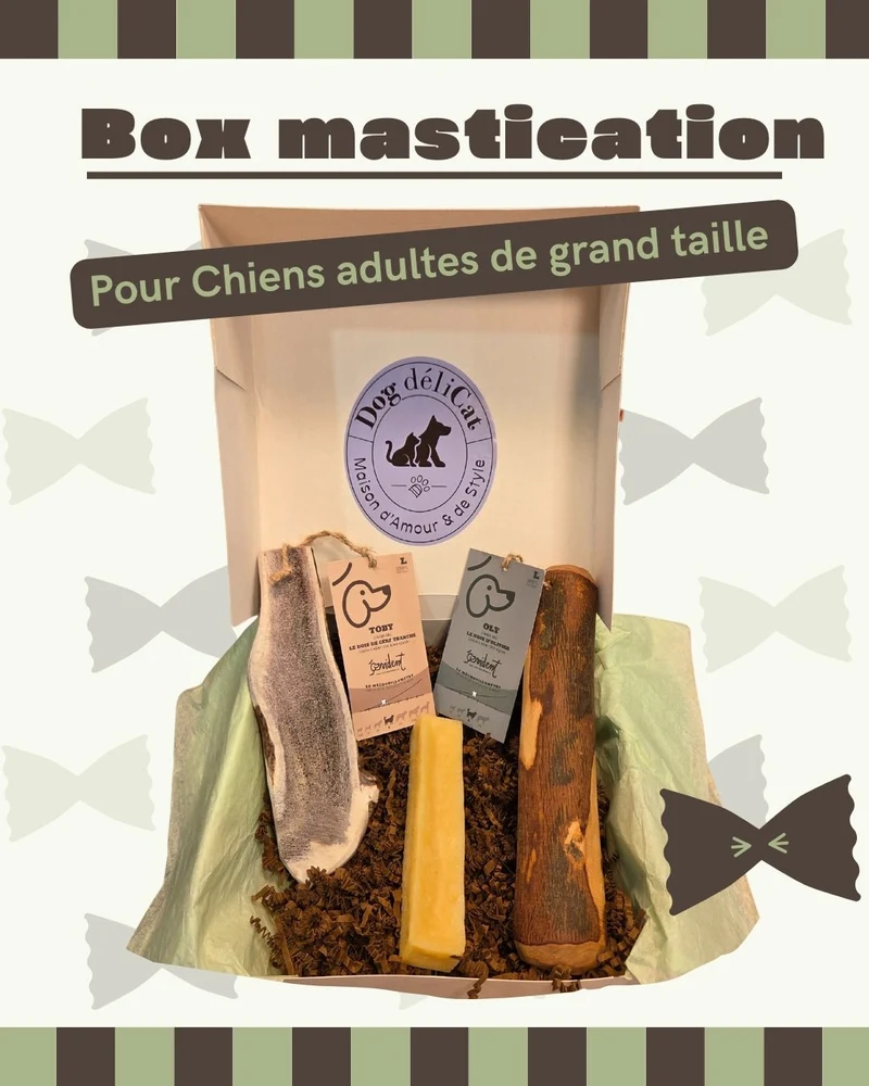 Box mastication naturelle et longue durée – Grands Chiens