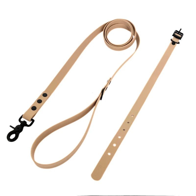 Duo laisse et collier beige Goodbro