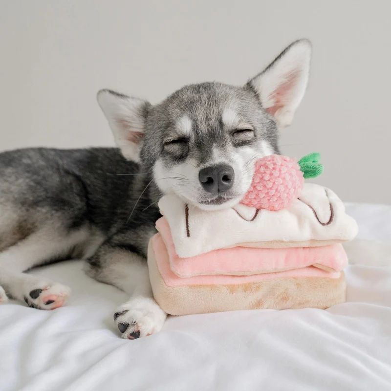 Jouet d’occupation pour chien – Mille-Feuille 🍓 Pups & Bubs