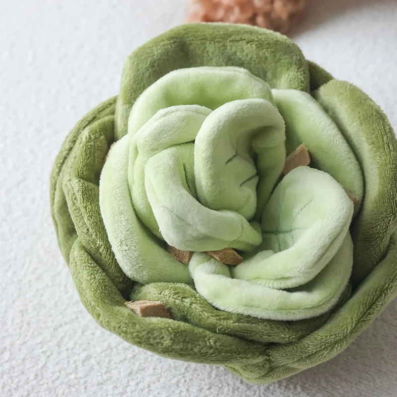Jouet de fouille pour chien 🥬 Chou – Pups & Bubs