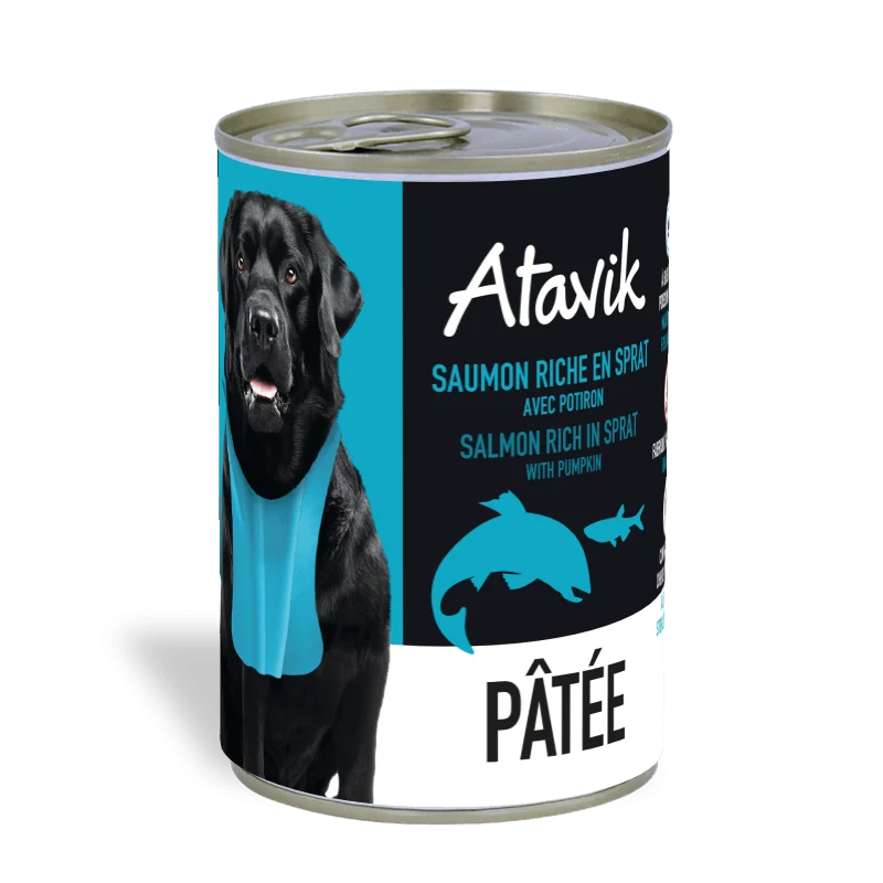 Pâtée chien - Terrine de Saumon riche en Sprat 400g