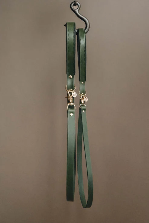 Laisse fine pour chien en cuir Hitch "Air" Band & Roll