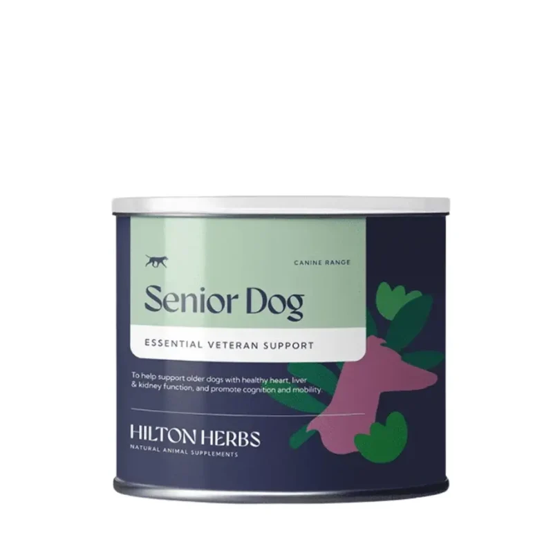 Senior Chien Hilton Herbs