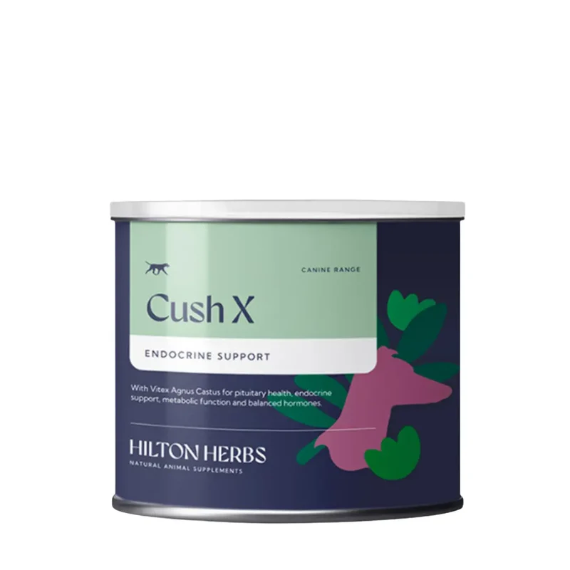 Cush X Chien Hilton Herbs