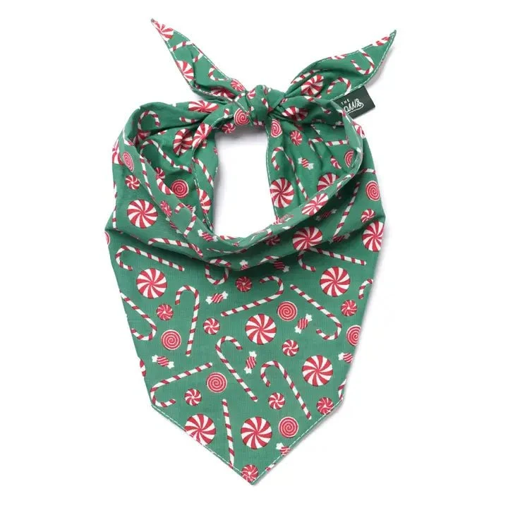 Bandana De Noël Pour Chien – Sucre D’Orge