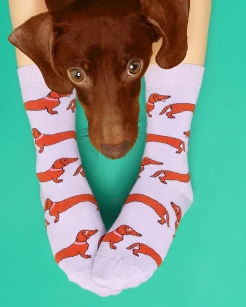 Chaussettes Teckel – L’accessoire fun & made in France