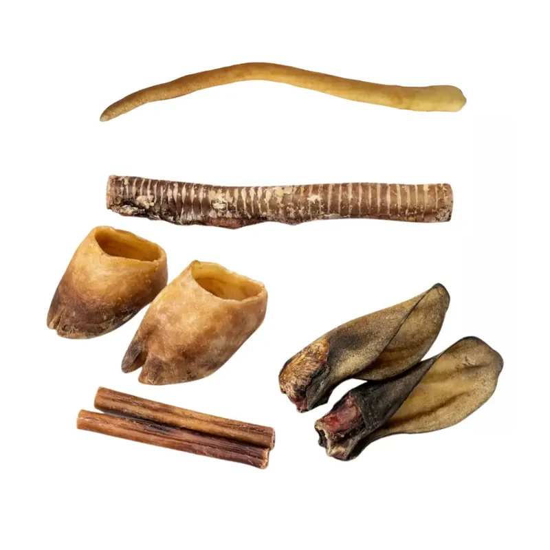 Box Super Résistante pour Gros Mâcheurs Cernunos